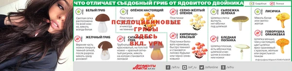 прущие грибы Кодинск