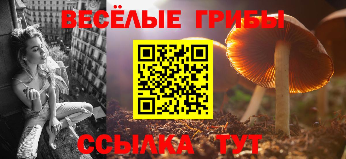 Галлюциногенные грибы GOLDEN TEACHER Россия